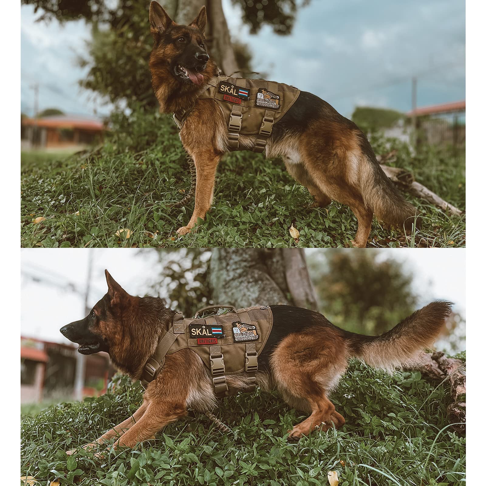 ONETIGRIS No Pull Harness use cases show walking, hiking, service tasks.