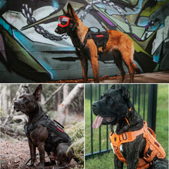 OneTigris No Pull Harness back D-ring for longer leash control.