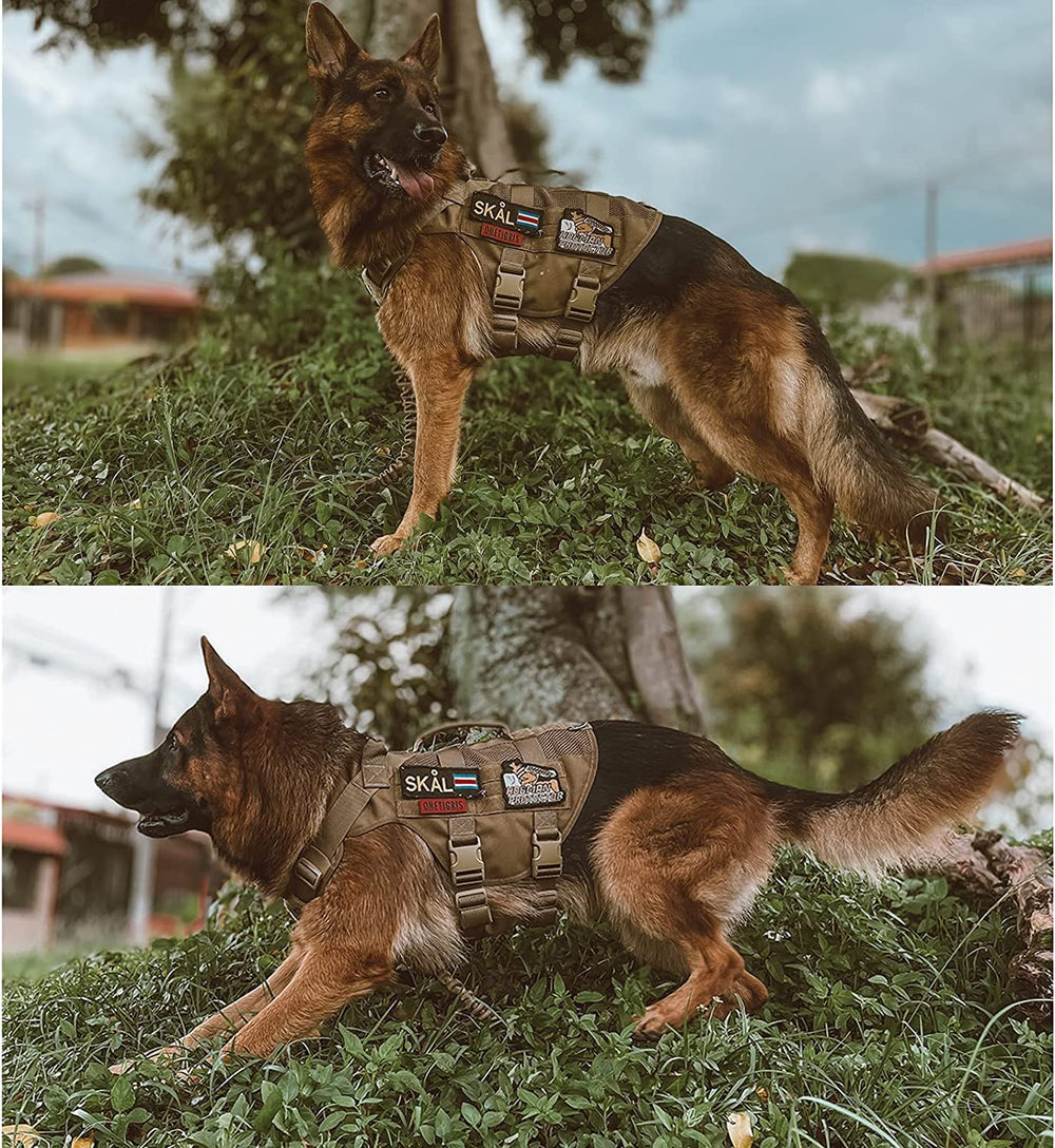OneTigris No Pull Tactical Dog Harness 1000D nylon durability