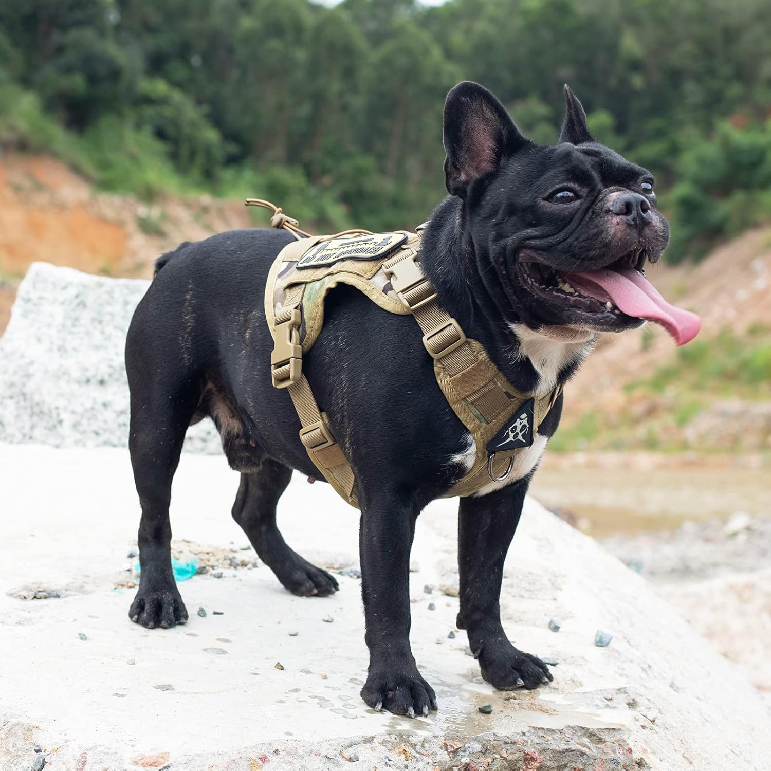 OneTigris 1-year warranty highlights support for a durable dog harness purchase.