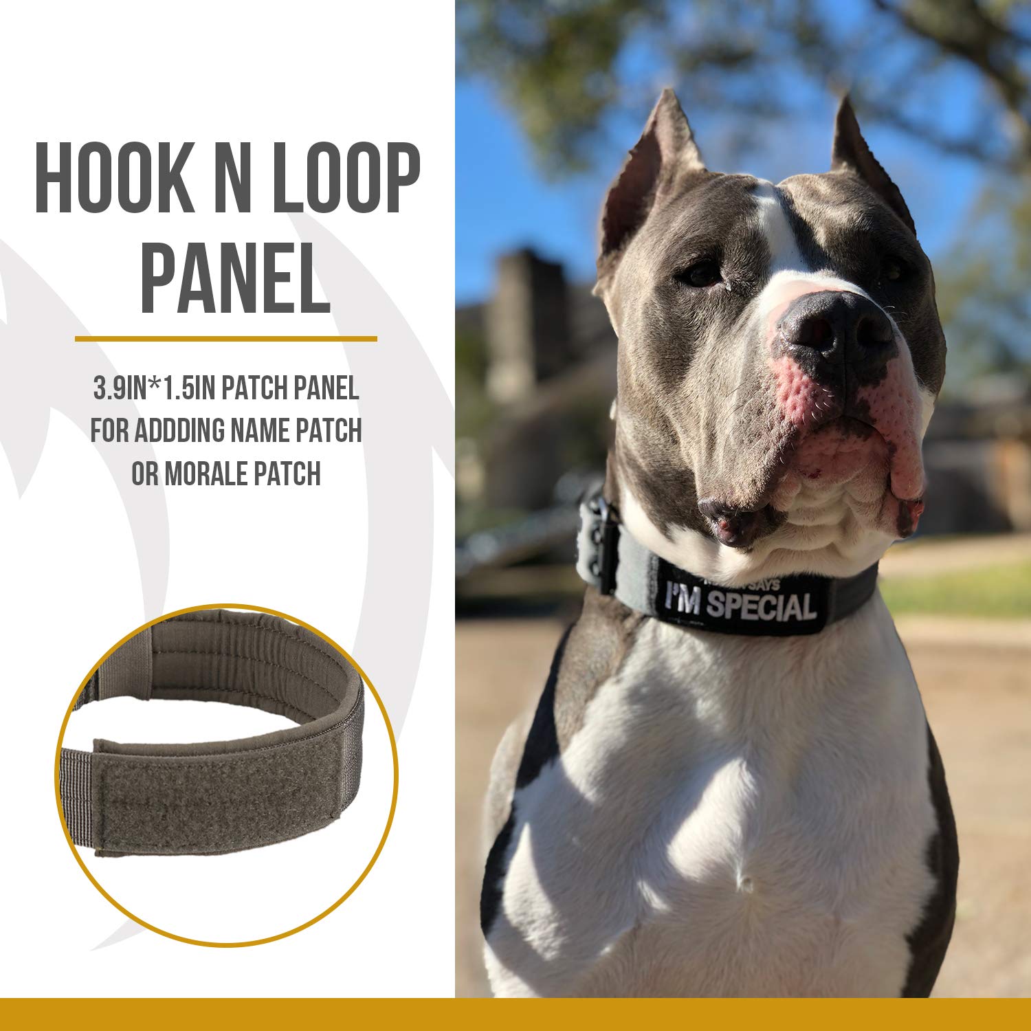 OneTigris patch panel on collar for custom name or morale patches