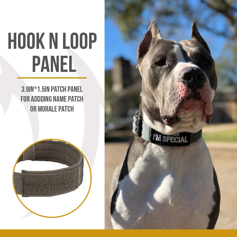 OneTigris patch panel on collar for custom name or morale patches
