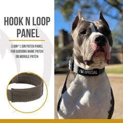 OneTigris patch panel on collar for custom name or morale patches