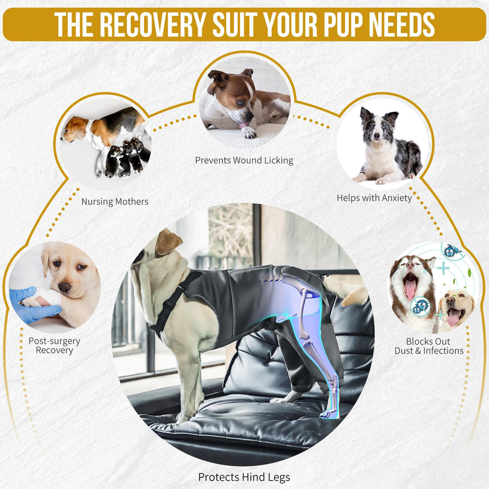 OneTigris dog potty-cutout design allows bathroom breaks without removing the suit
