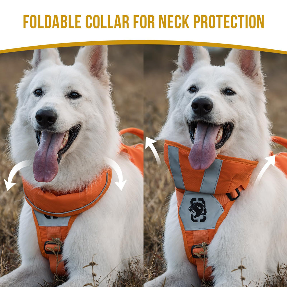 OneTigris Reflective Dog Vest back view highlights full coverage