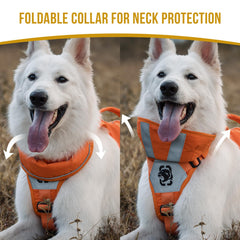 OneTigris Reflective Dog Vest back view highlights full coverage