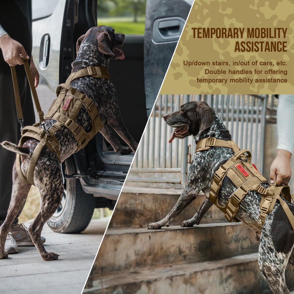 OneTigris reflective trim improves nighttime visibility during dog walks