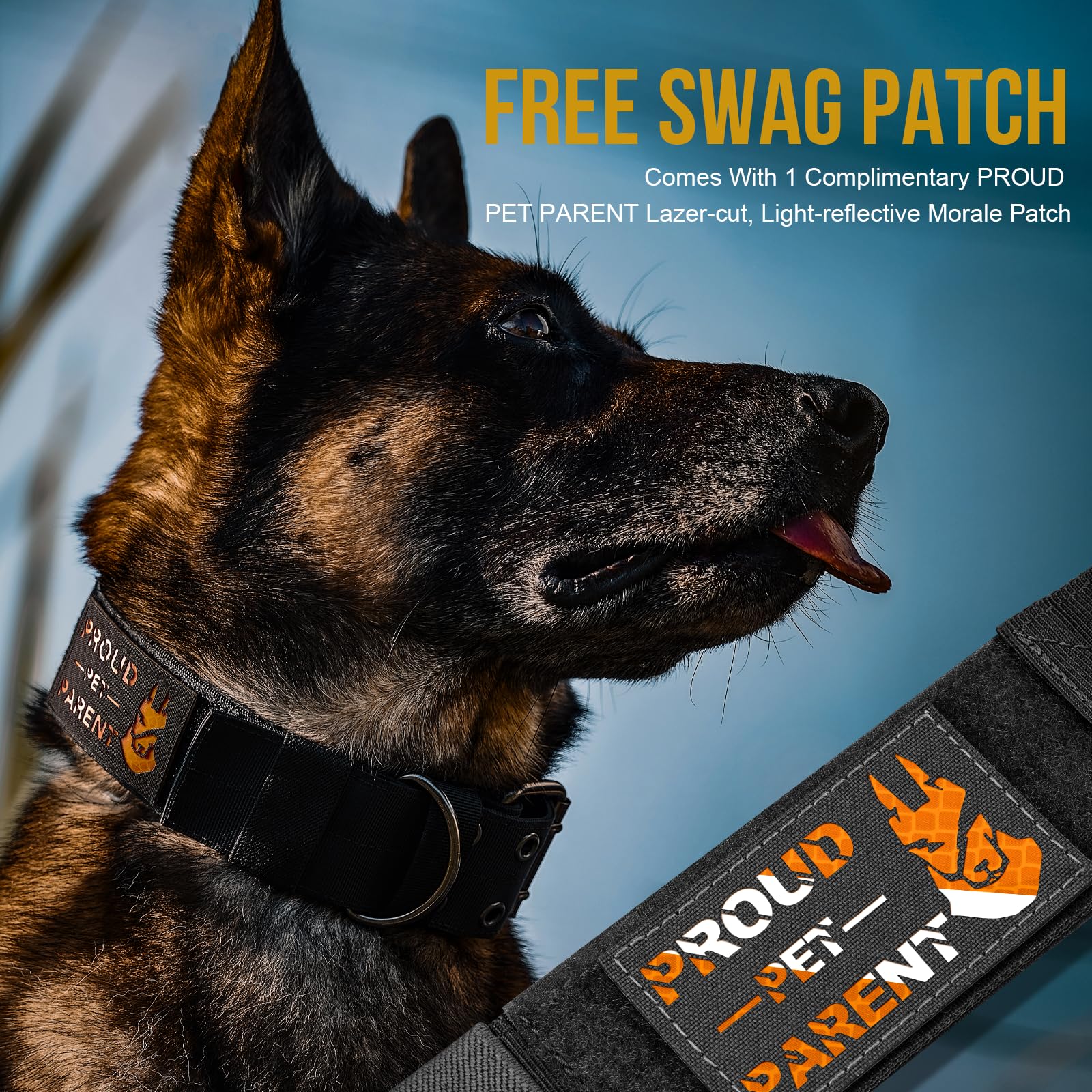 OneTigris stainless steel D-ring adds reliable leash attachment for strong tugs.