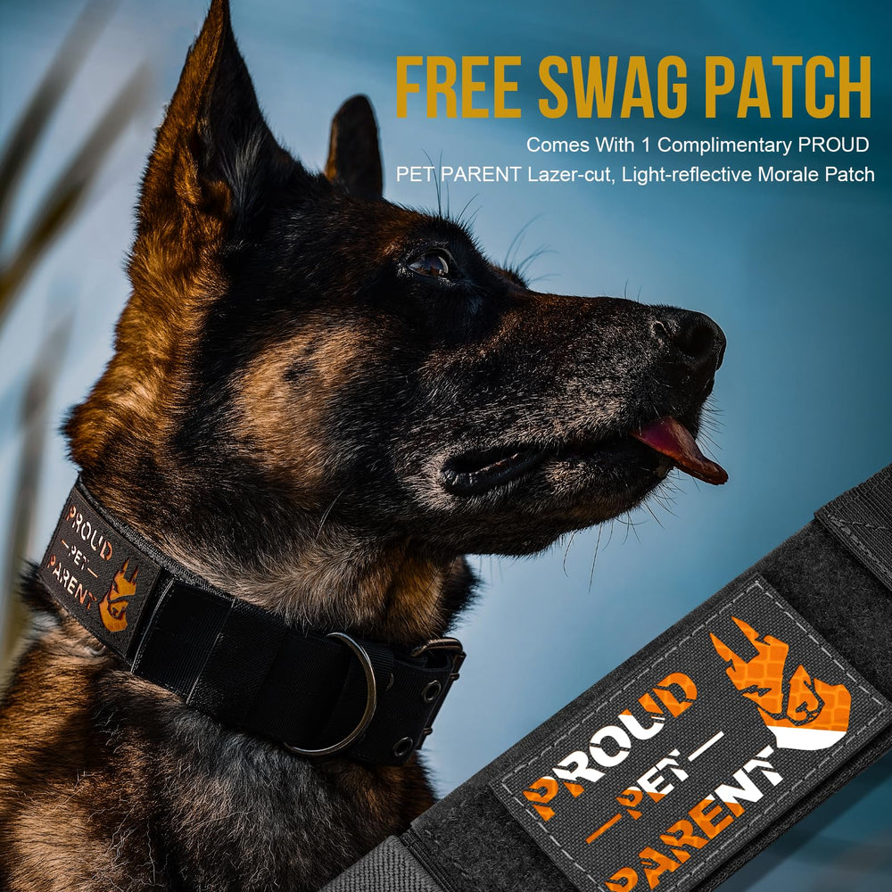 OneTigris stainless steel D-ring adds reliable leash attachment for strong tugs.