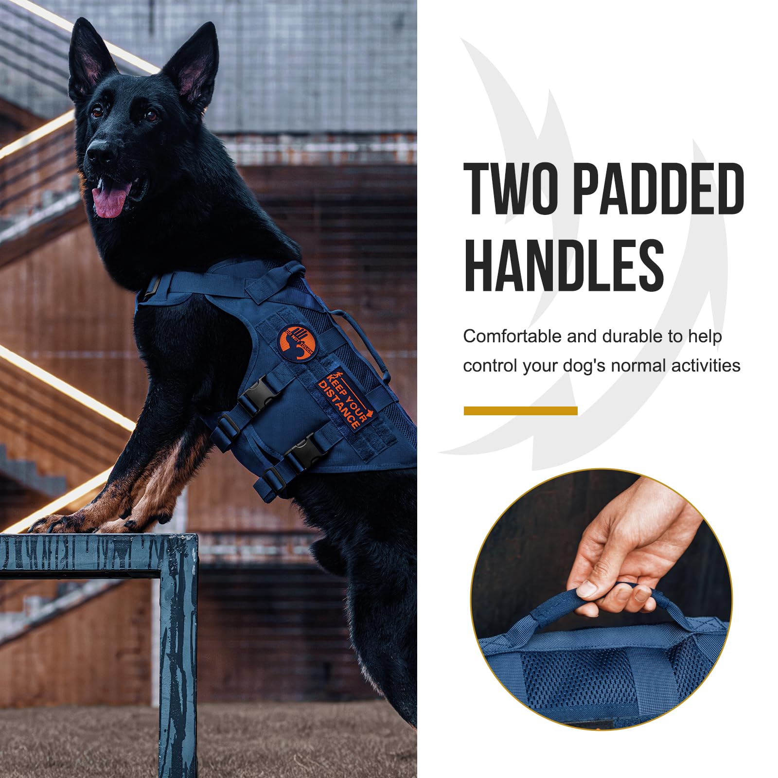Back view of OneTigris harness highlights MOLLE panels.