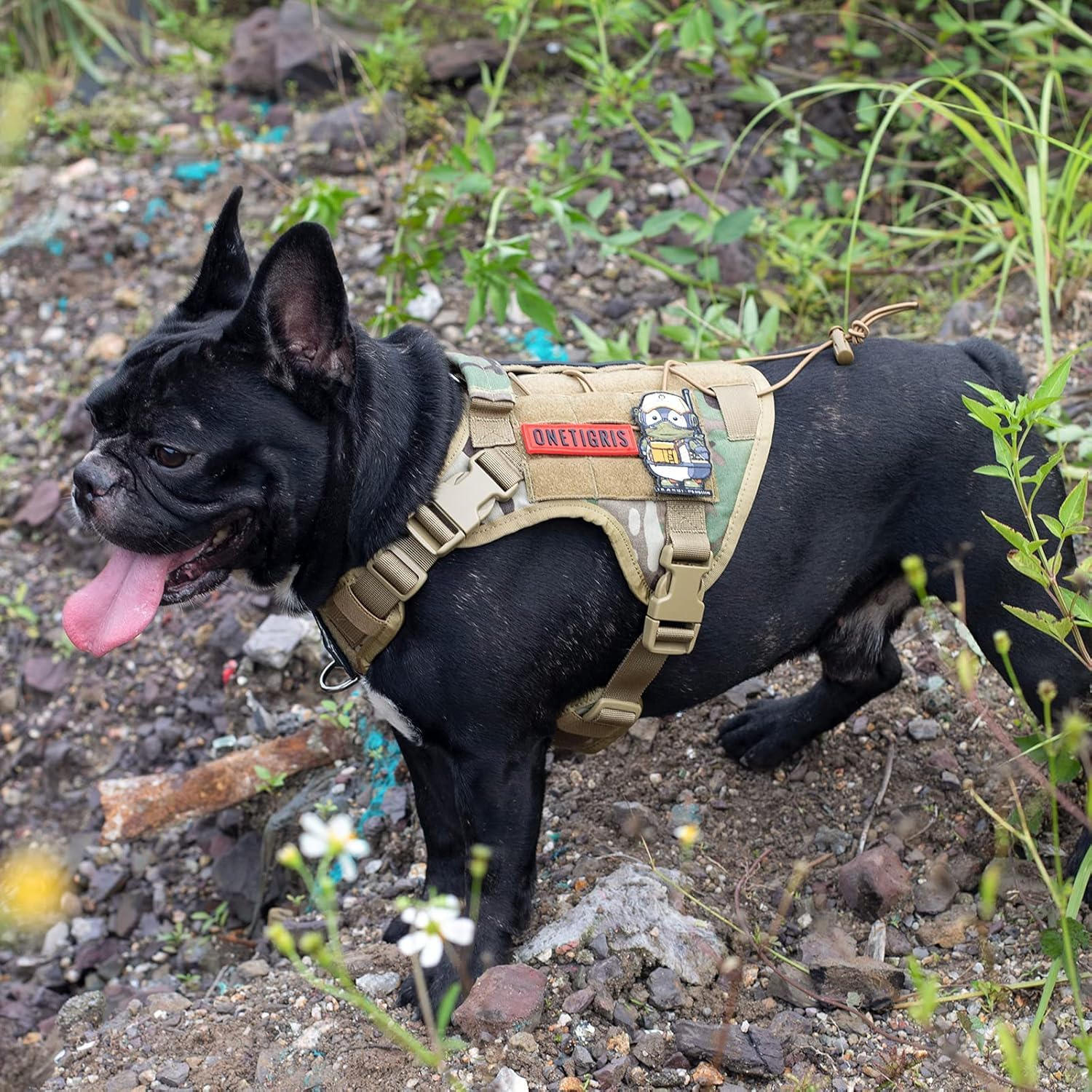 ONETIGRIS tactical dog harness camo setup showcases rugged outdoor style