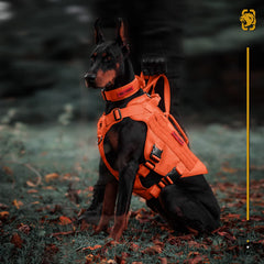 ONETIGRIS service dog harness back handle for improved control during walks.