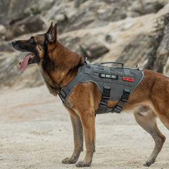 ONETIGRIS harness grab handles enable quick control during car rides or crowds.