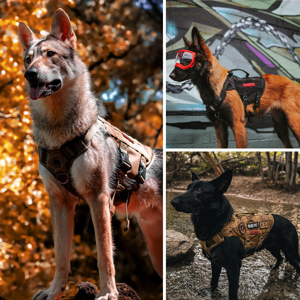 OneTigris tactical dog harness with handles brown demonstrates assistive control during walking.