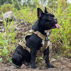 ONETIGRIS dog harness hook-loop panels for morale patches