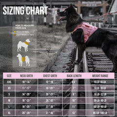 OneTigris tactical dog harness pink side molle shows modular storage options.