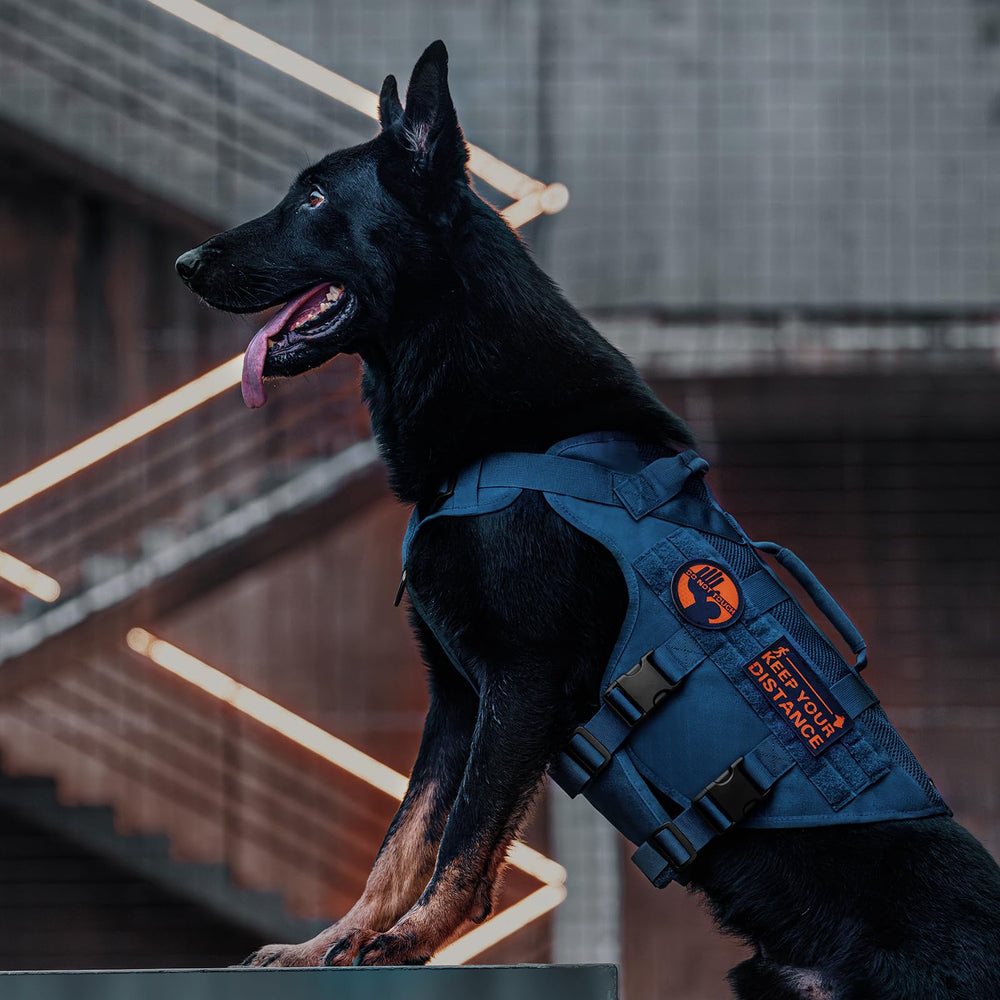 ONETIGRIS harness quick-release buckles simplify fitting during outdoor use