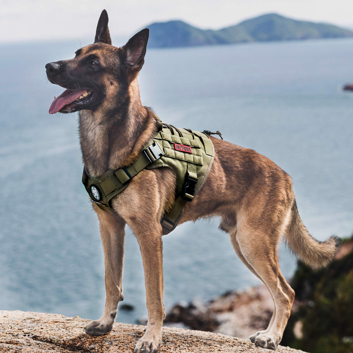 OneTigris Tactical Dog Harness Vest side panel view showing hook-and-loop panels for IDs