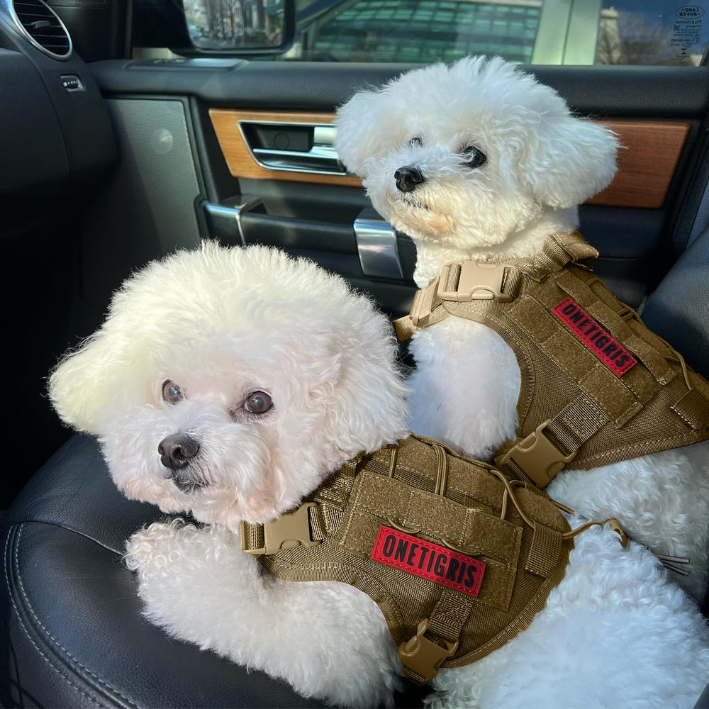 OneTigris harness with MOLLE attachments for gear pouches and IDs.