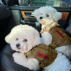 OneTigris harness with MOLLE attachments for gear pouches and IDs.