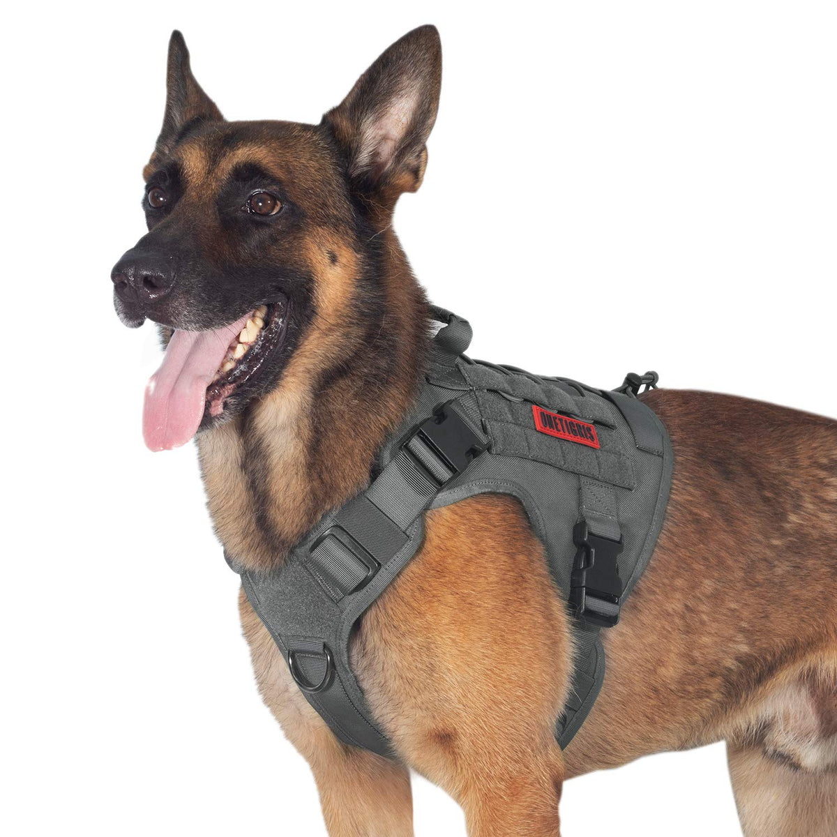 OneTigris tactical dog vest top handle for easy traffic control during hikes