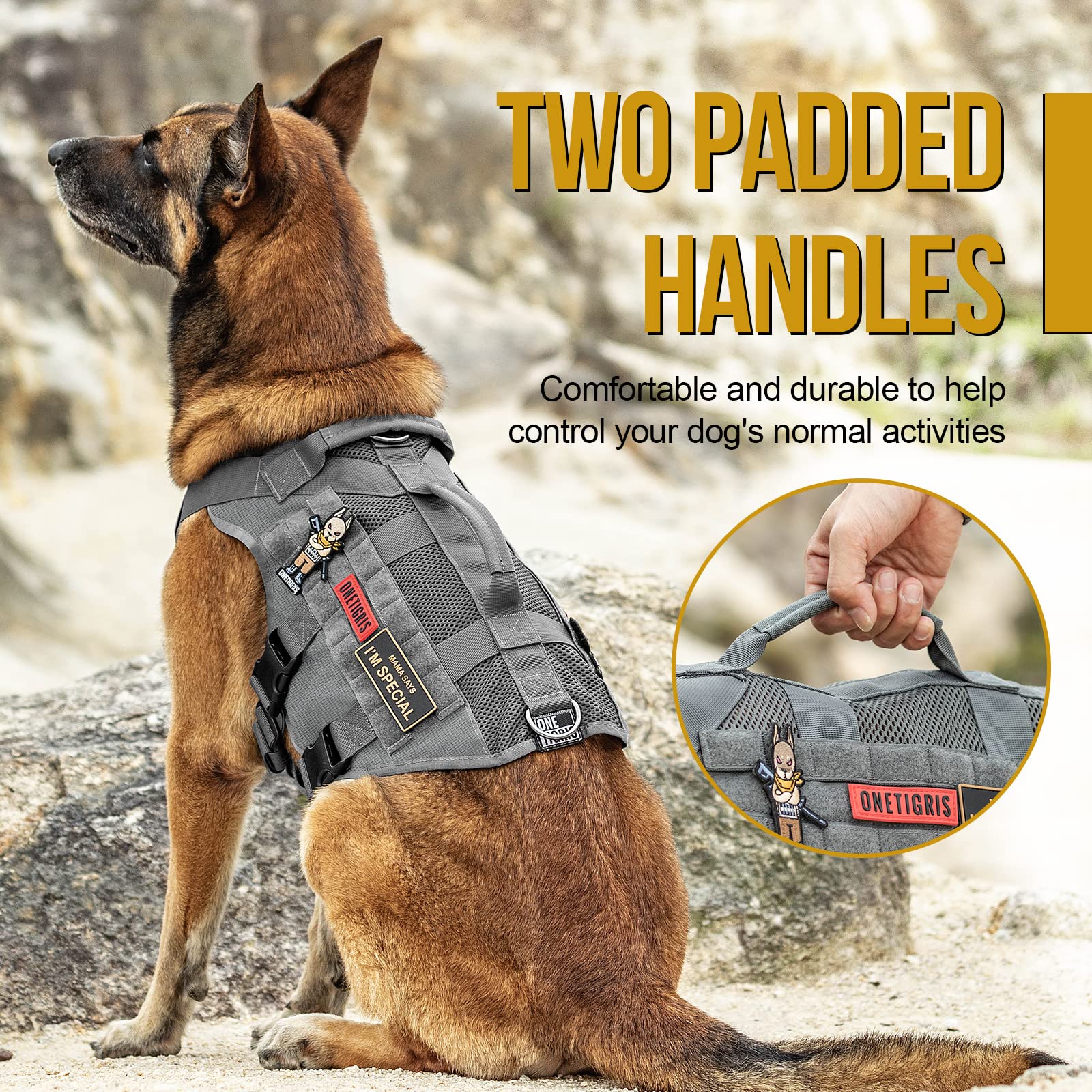 OneTigris Tactical No Pull Harness side MOLLE panel supports add-ons for training.