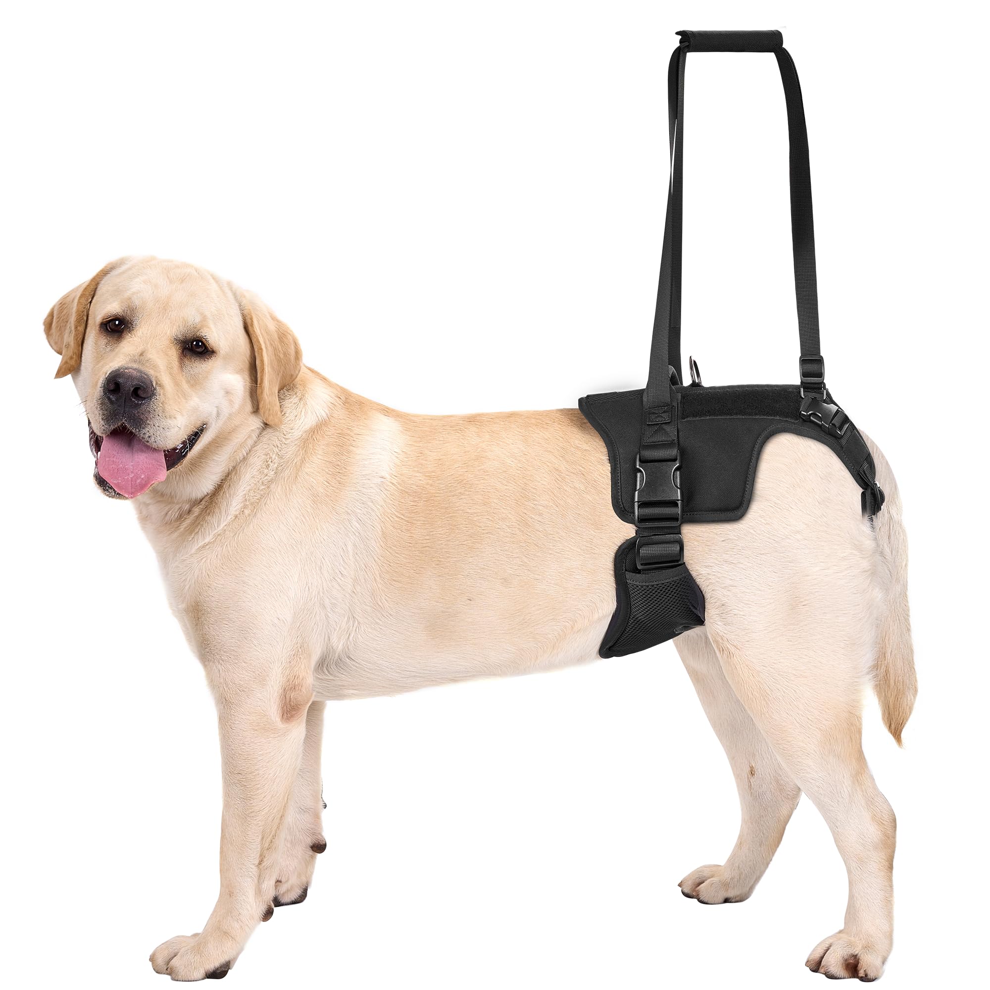 ONETIGRIS Victus Support Harness front view with grab handle for easy lifting