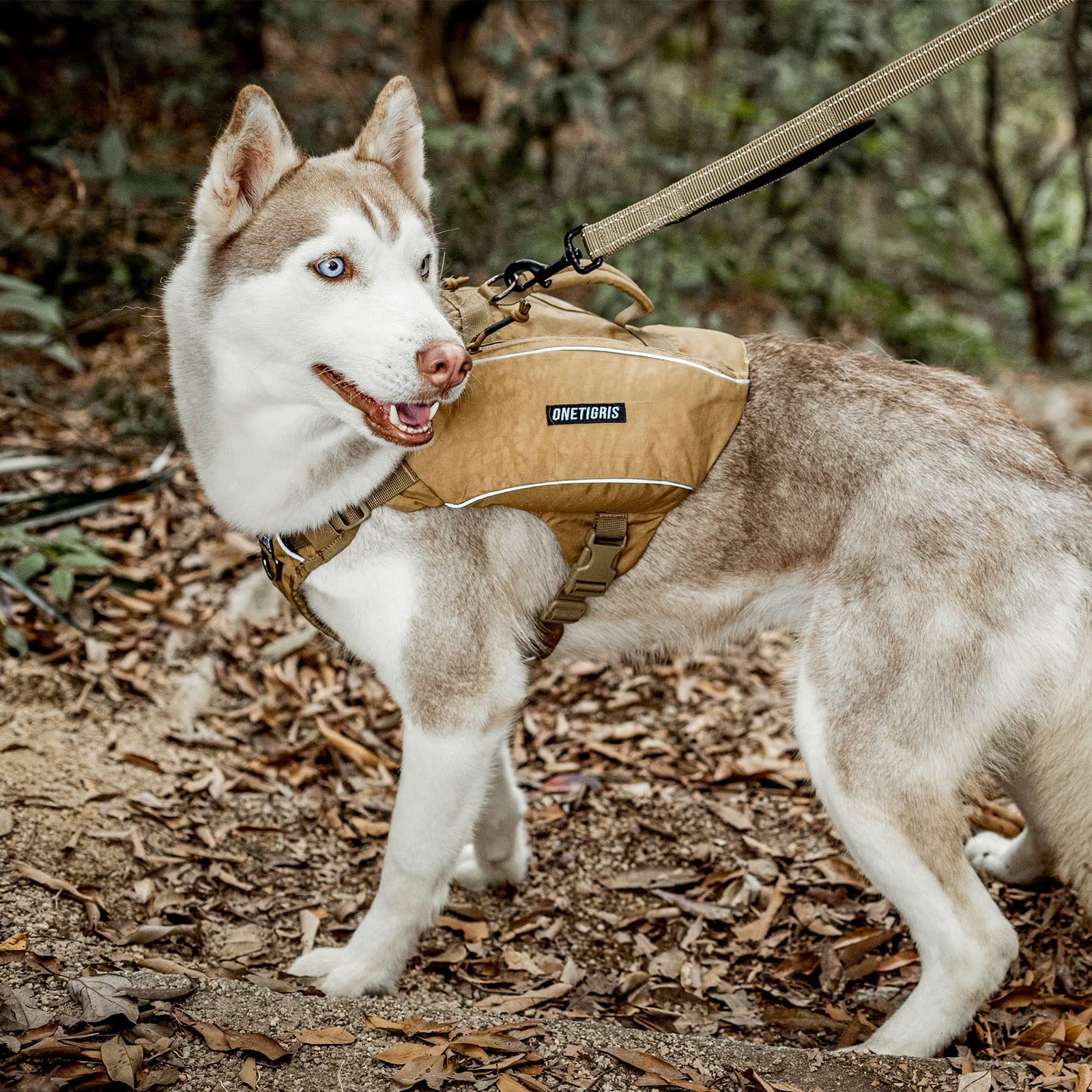 ONETIGRIS reflective-trim enhances nighttime visibility on walks.