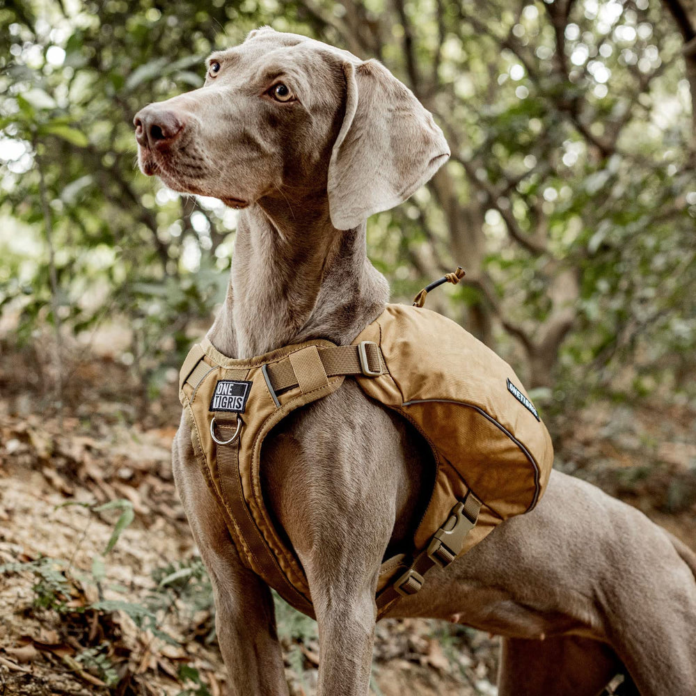 ONETIGRIS side-pockets provide space for water, snacks, or toys.