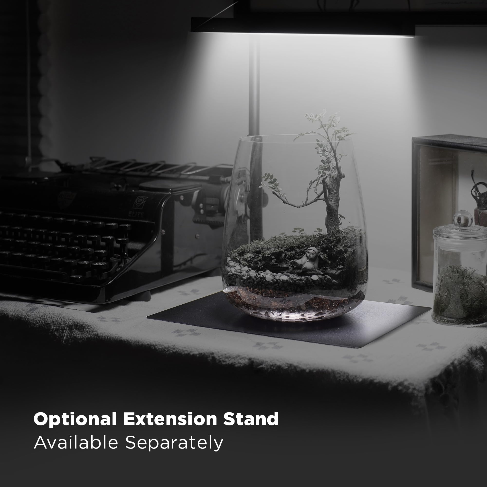 ONF Flat Nano+ terrarium-plant use image suggests versatile micro-ecosystems