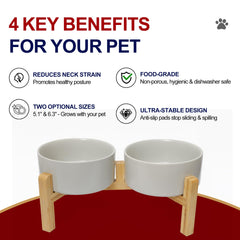 OniAnt double raised pet feeder in ceramic with anti slip base helps keep spills down
