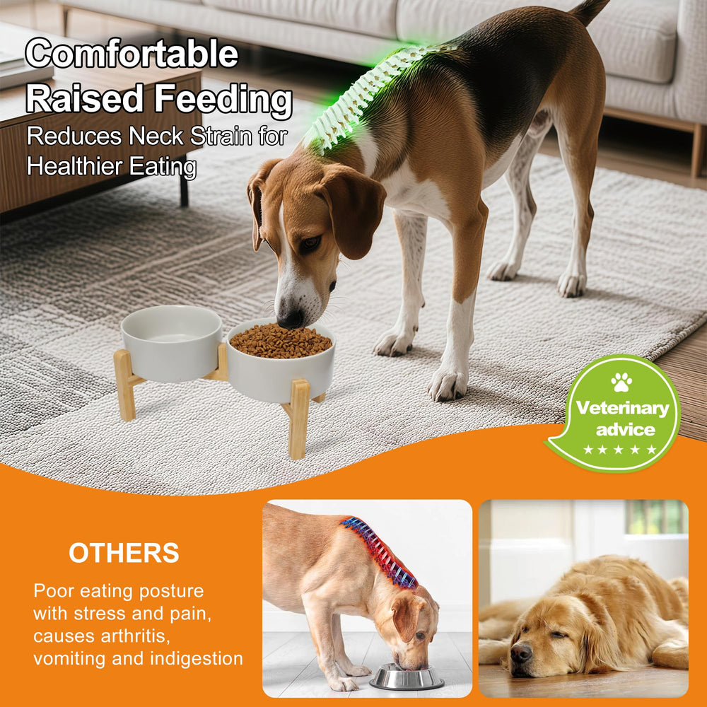 OniAnt premium high fired ceramic bowl is durable and easy to clean for daily meals