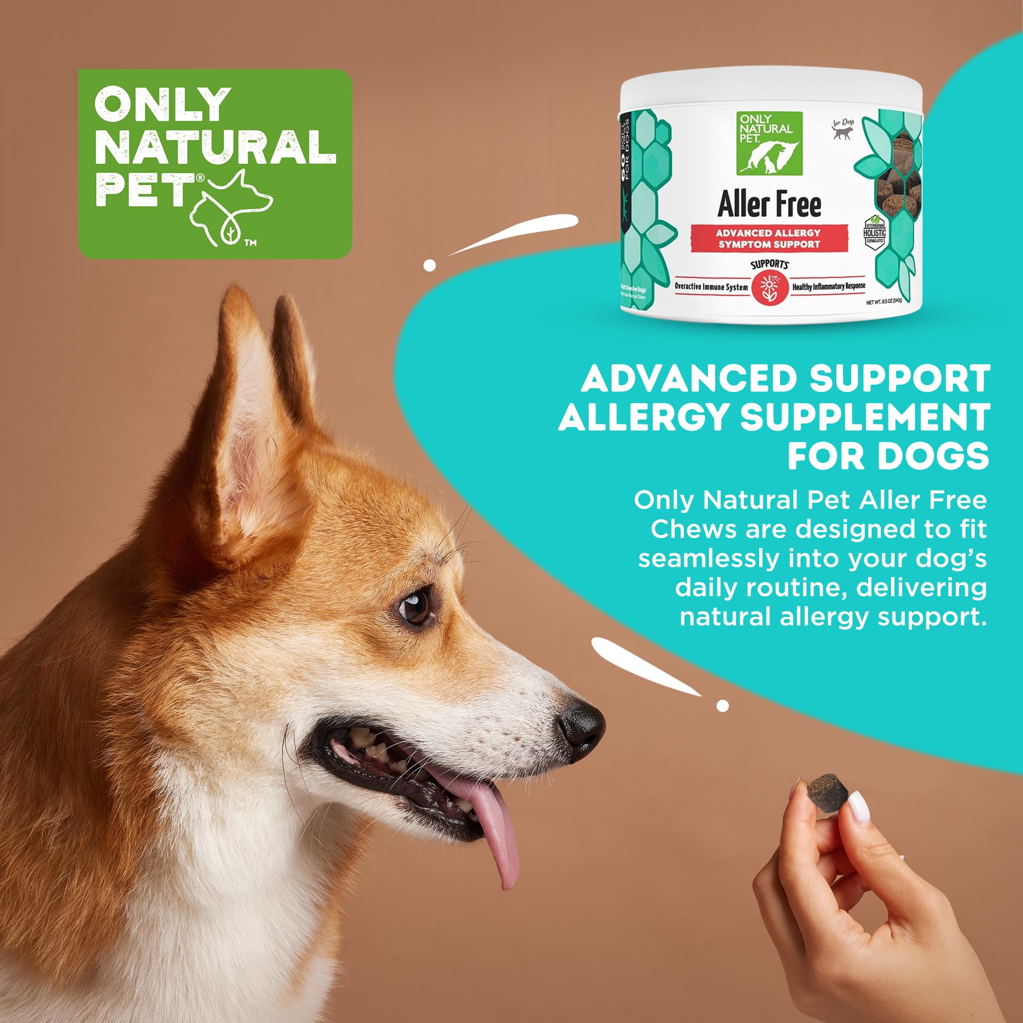 Only Natural Pet AllerFree dog enjoying daily chew for routine care