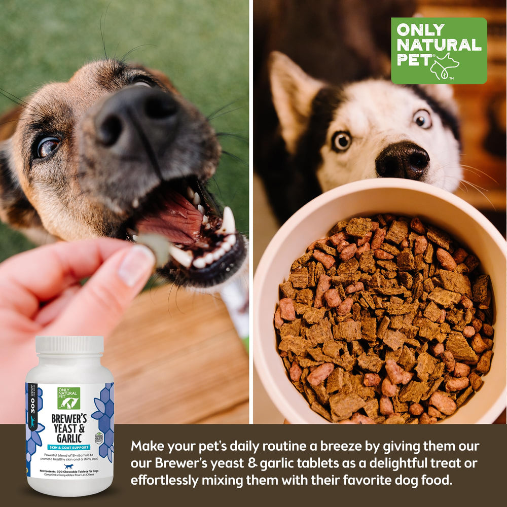 Only Natural Pet Brewer's Yeast & Garlic chewables dog enjoying chew, convenient flea and tick defense