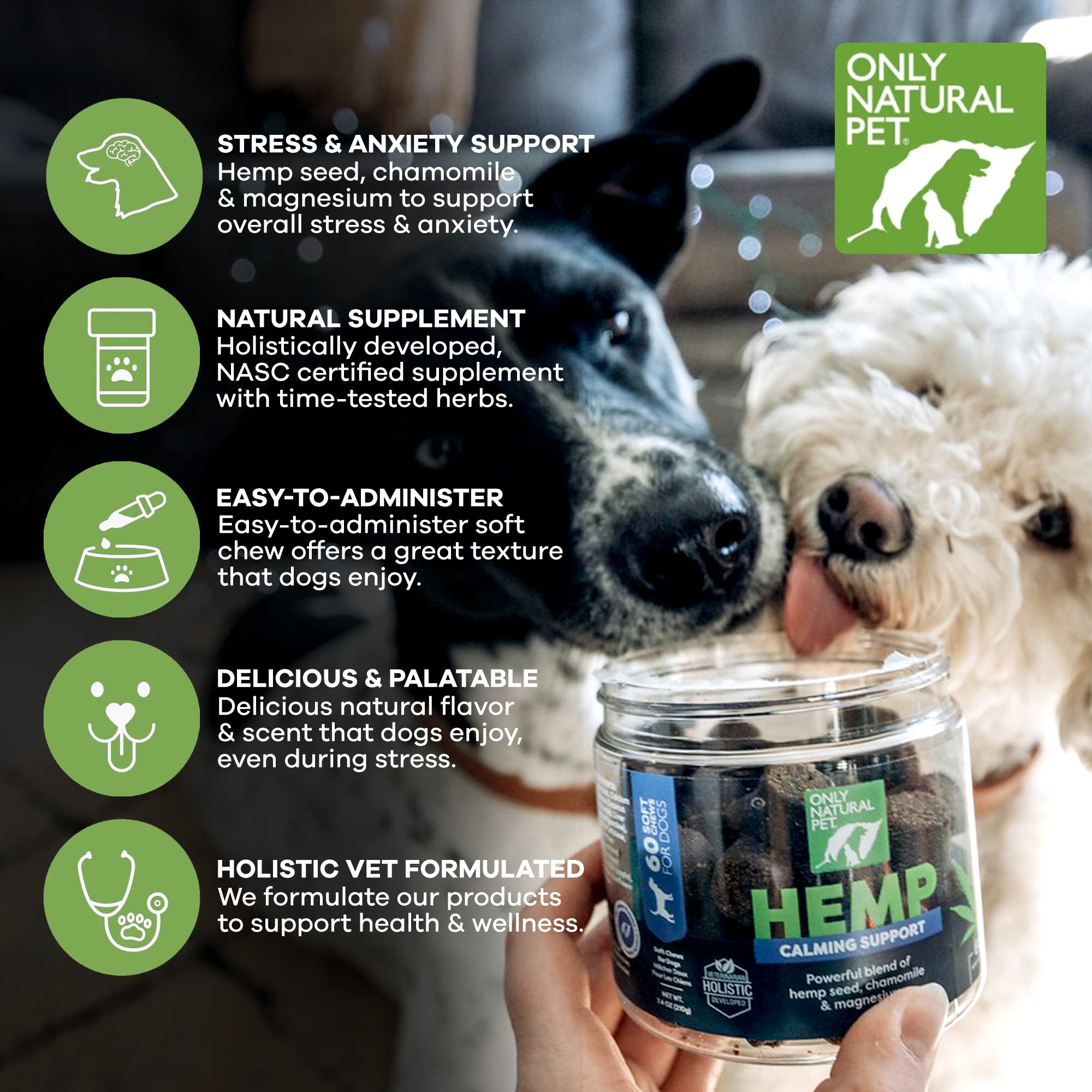 Only Natural Pet car ride calm dog – dog enjoying smoother car travels.