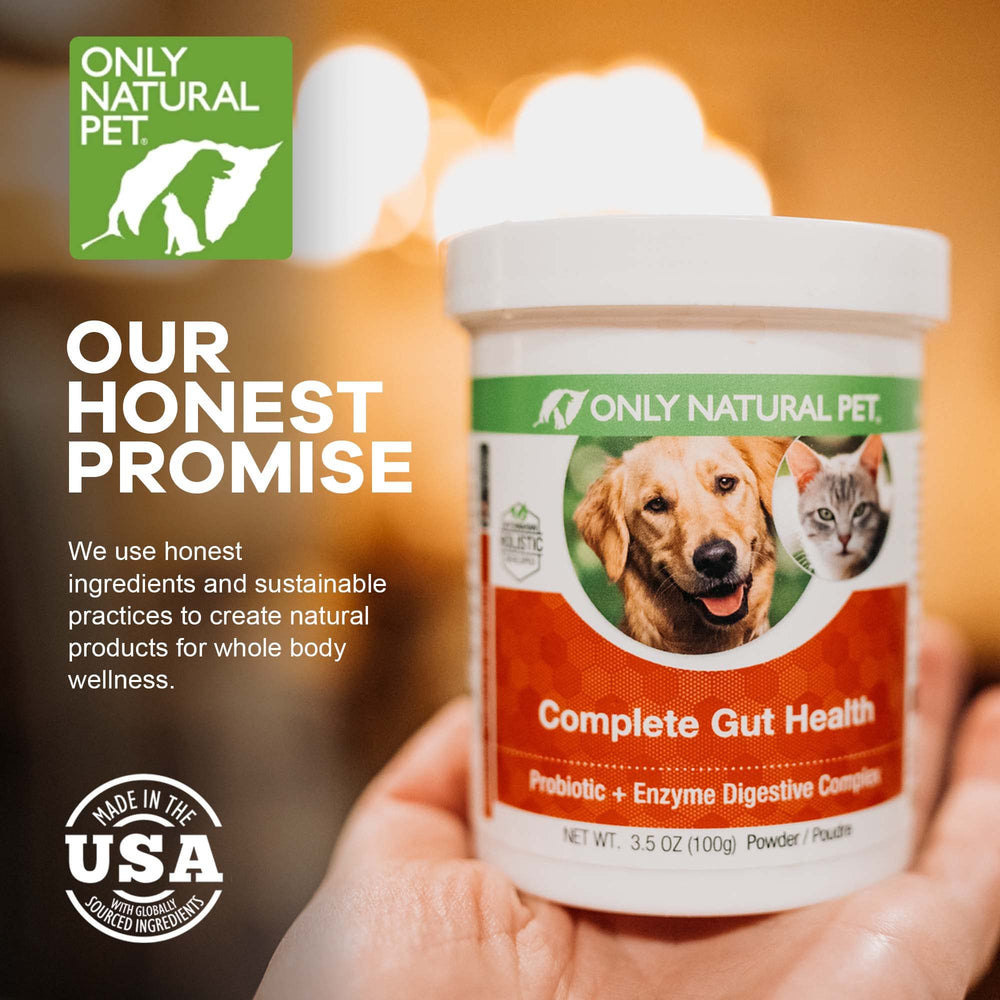Only Natural Pet Complete Gut Health Complex powder close-up shows fine texture for easy mixing
