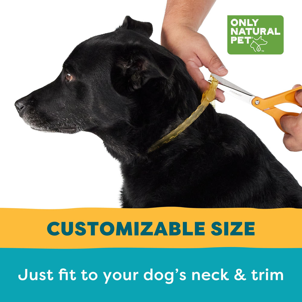 Only Natural Pet EasyDefense collar four-month-protection closeup highlights long-lasting flea and tick defense