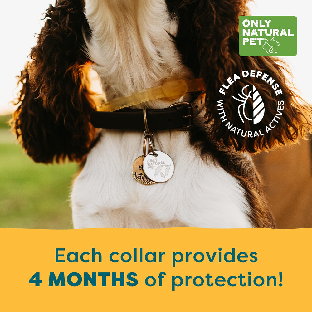 Only Natural Pet EasyDefense collar water-resistant closeup signals durability during outdoor use