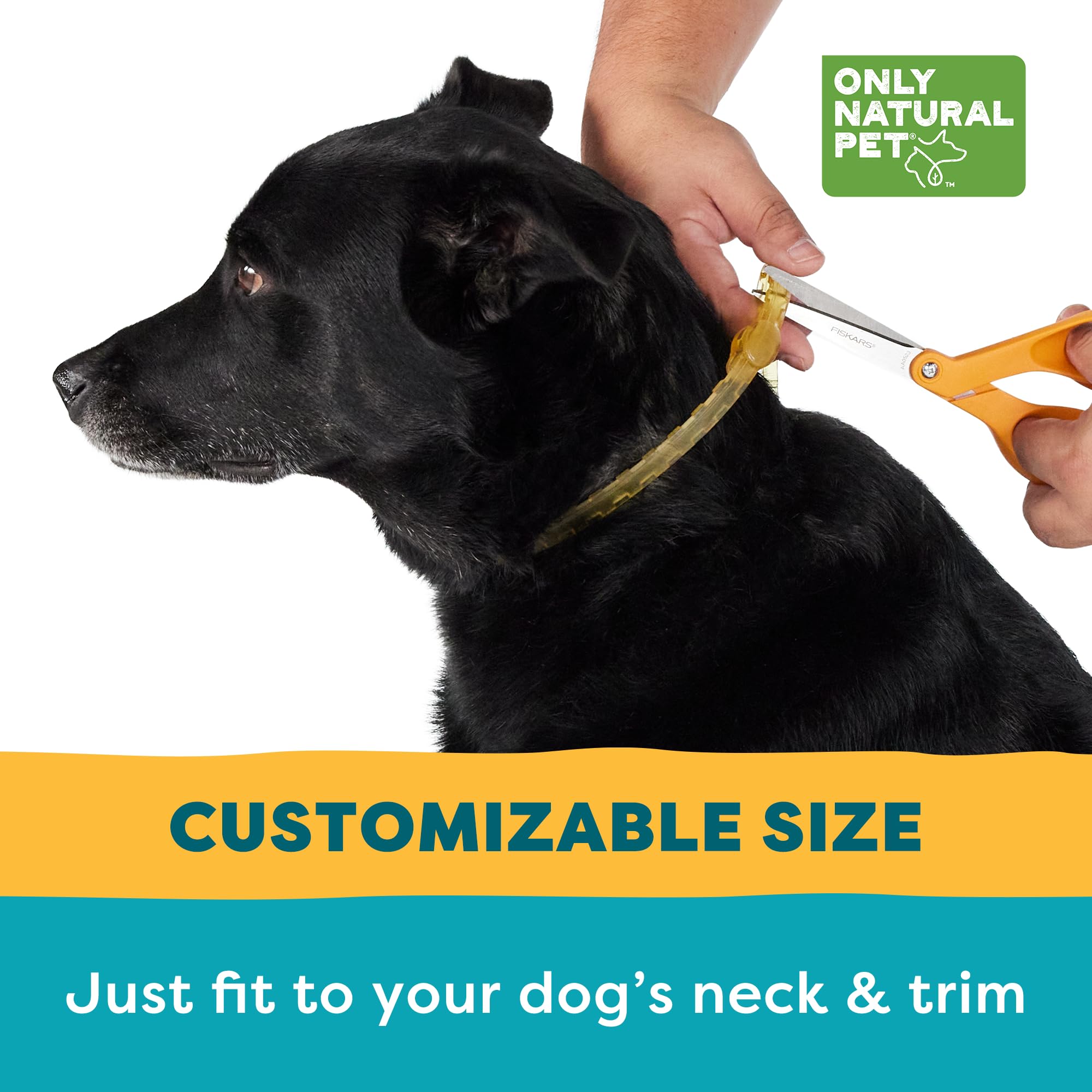 Only Natural Pet EasyDefense care instructions emphasize replacement every four months