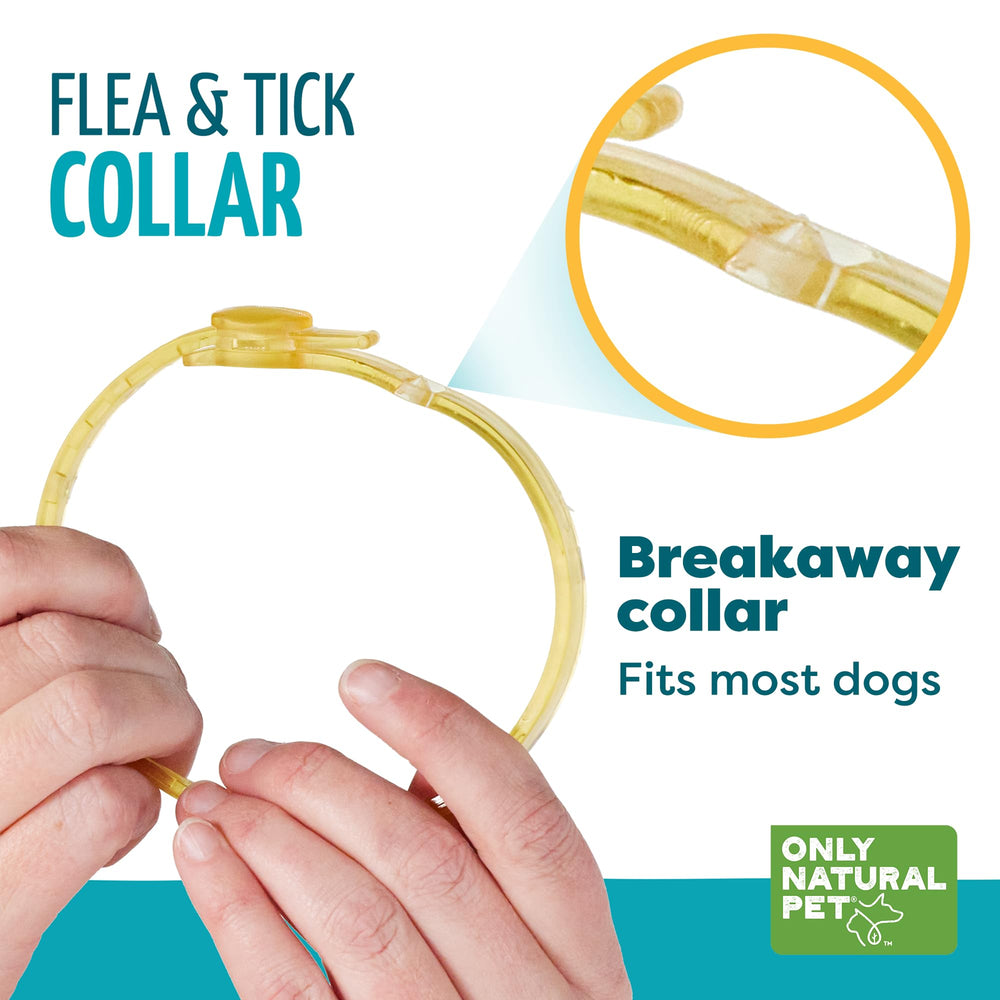 Only Natural Pet EasyDefense during walk shows comfortable wear and flea-friendly design