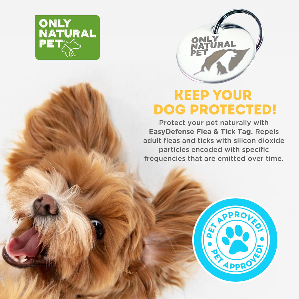 Only Natural Pet EasyDefense Tag collar-attachment shown attaching simply to a standard collar for quick protection without bulk