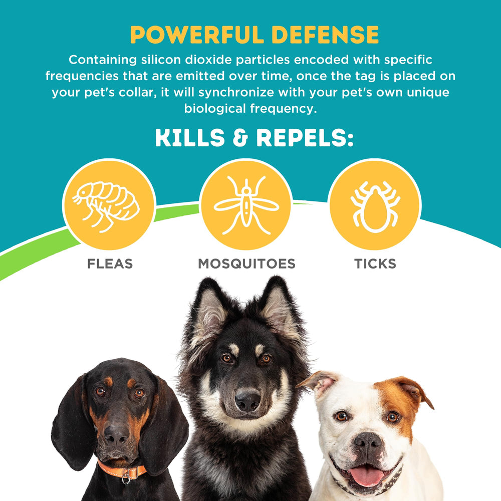 Only Natural Pet EasyDefense Tag dogs-cats-all-ages tag on pet collar, suggesting universal compatibility for puppies and adults