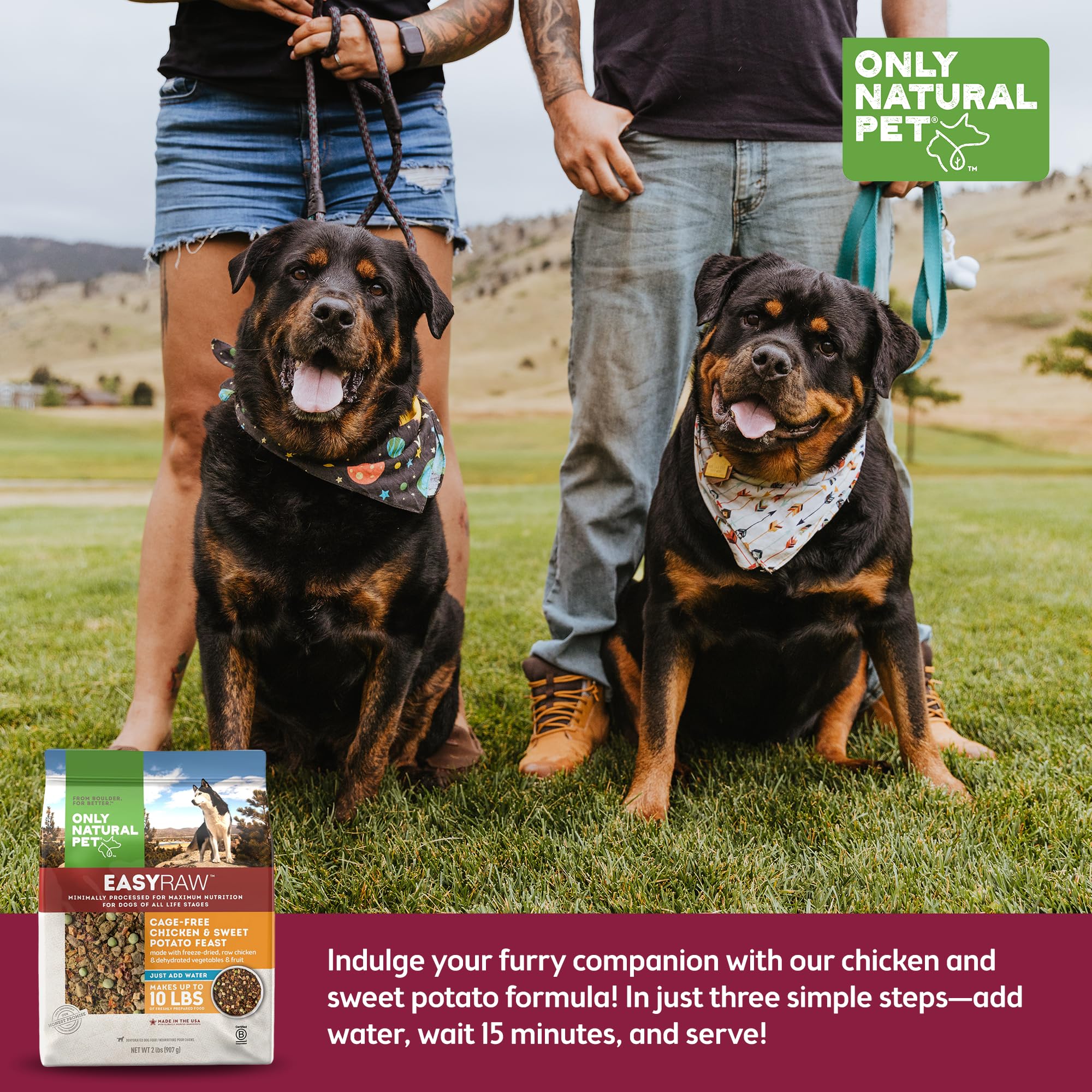 Only Natural Pet EasyRaw ingredient list shows dried fruits and vegetables for wholesome nutrition.
