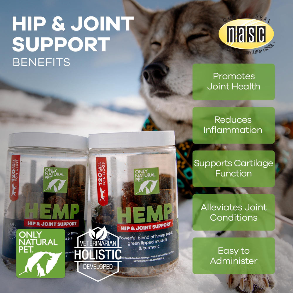 Only Natural Pet Hemp Hip Joint dog enjoying outdoor activity with mobility support.