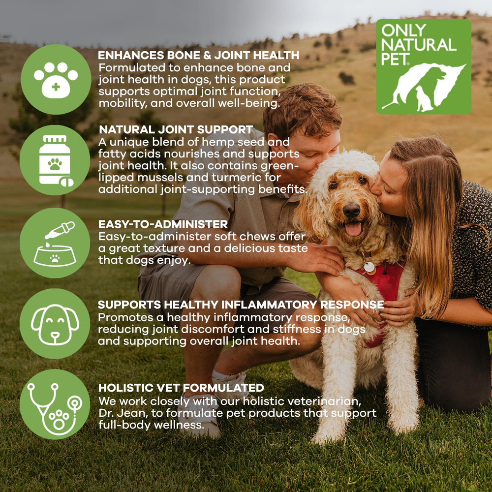 Only Natural Pet Hemp Hip Joint ingredients mussels and turmeric closeup supporting healthy inflammatory response.