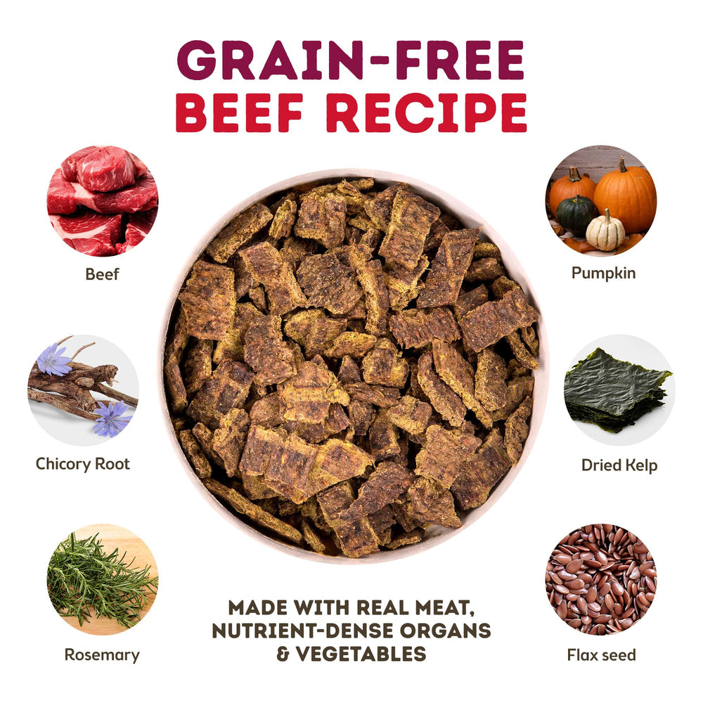 Only Natural Pet MaxMeat air-dried beef dog food bowl showcases convenient serving and savory aroma.