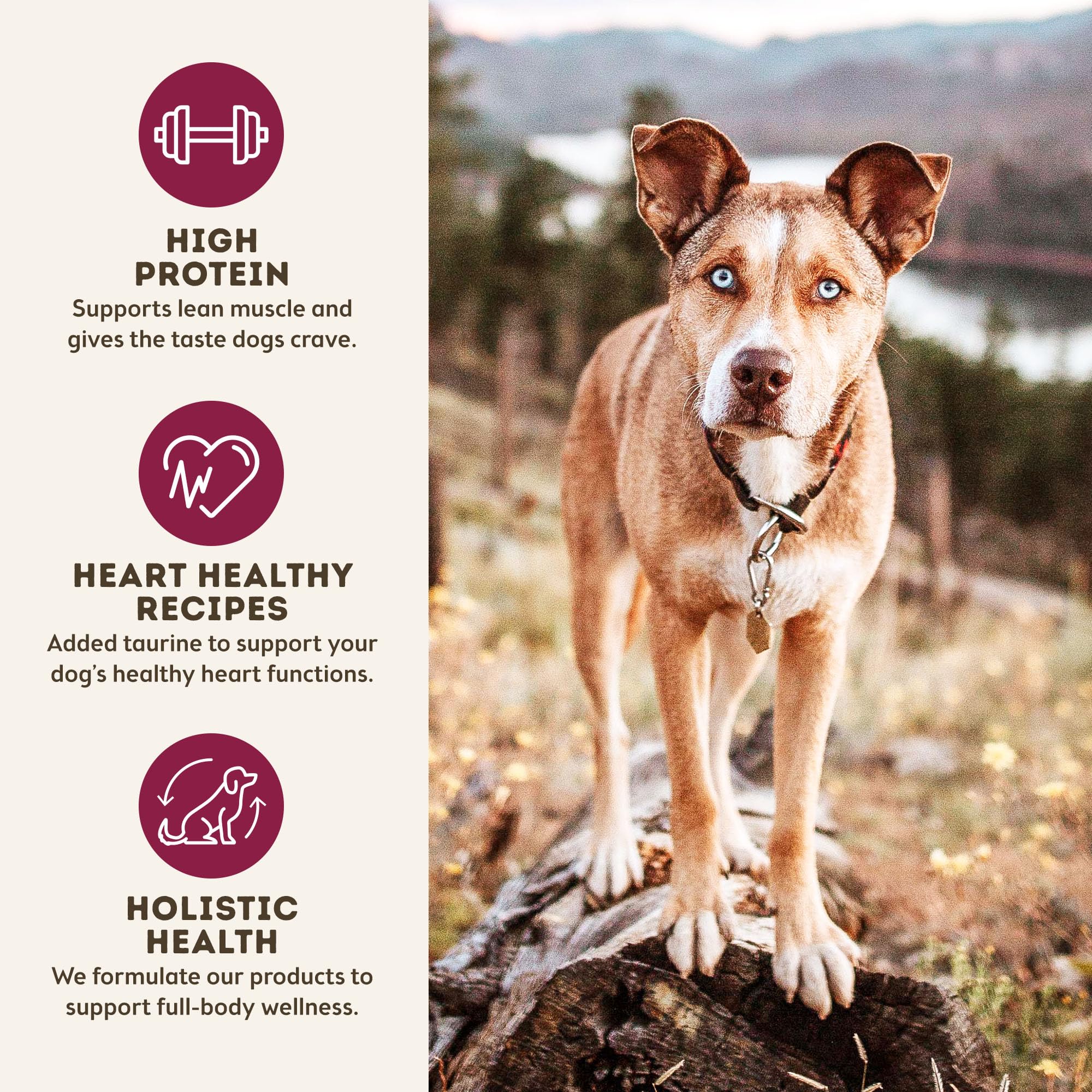Only Natural Pet MaxMeat-grain-free-diet image demonstrates hypoallergenic, digestion-friendly formula for dogs.