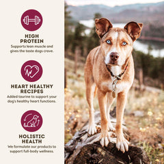 Only Natural Pet MaxMeat-grain-free-diet image demonstrates hypoallergenic, digestion-friendly formula for dogs.