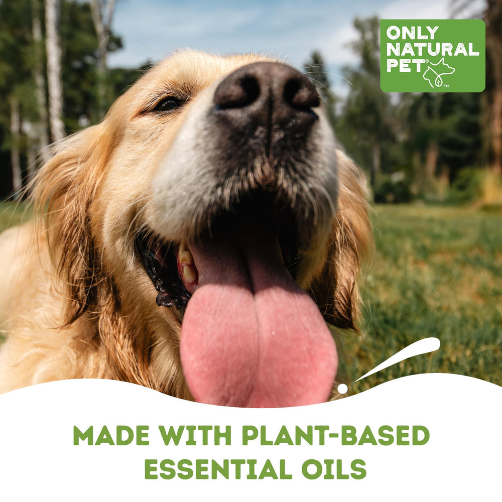 Treated spots around entryways with Only Natural Pet No Marking Deterrent stay repellent.