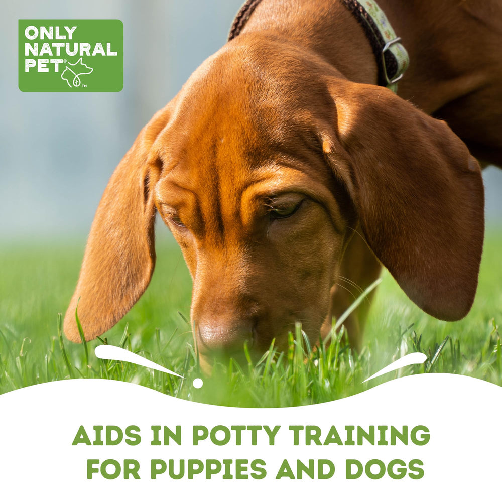 Only Natural Pet No Marking Deterrent aids puppy and dog potty training.